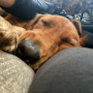 Meet your Posher, Shannon